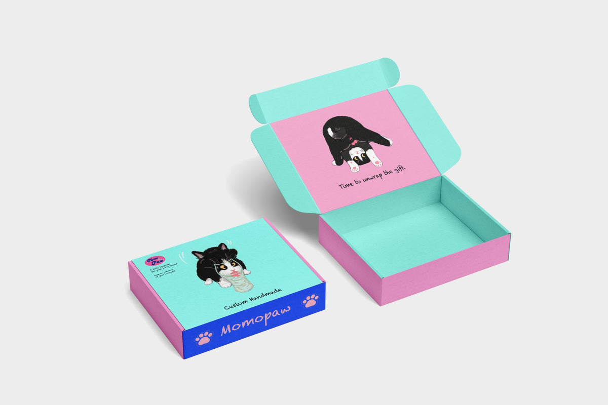 Momo Paw gift box in mint and pink with a tuxedo cat illustration